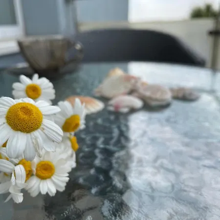 Luxory 2 Costineşti
